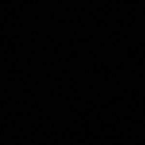 Meet your Posher, Maddie